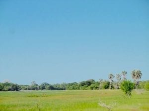 house sit in Maun Okavango Delta