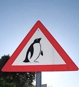 Boulders Beach