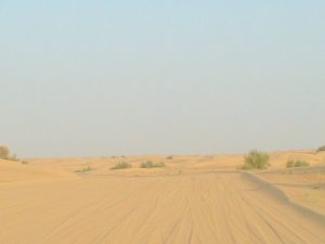 Dubai Desert Drive
