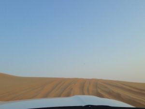 Dune Ride during Dubai Desert Safari