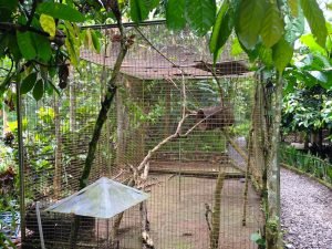 civet cages