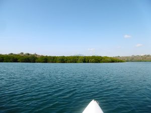 kayaking at Bajul Bay