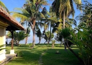 Puri Bagus Lovina ocean view