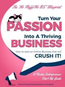 how to start a business online - passion into business blueprint